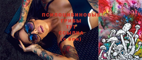 тгк Ростов